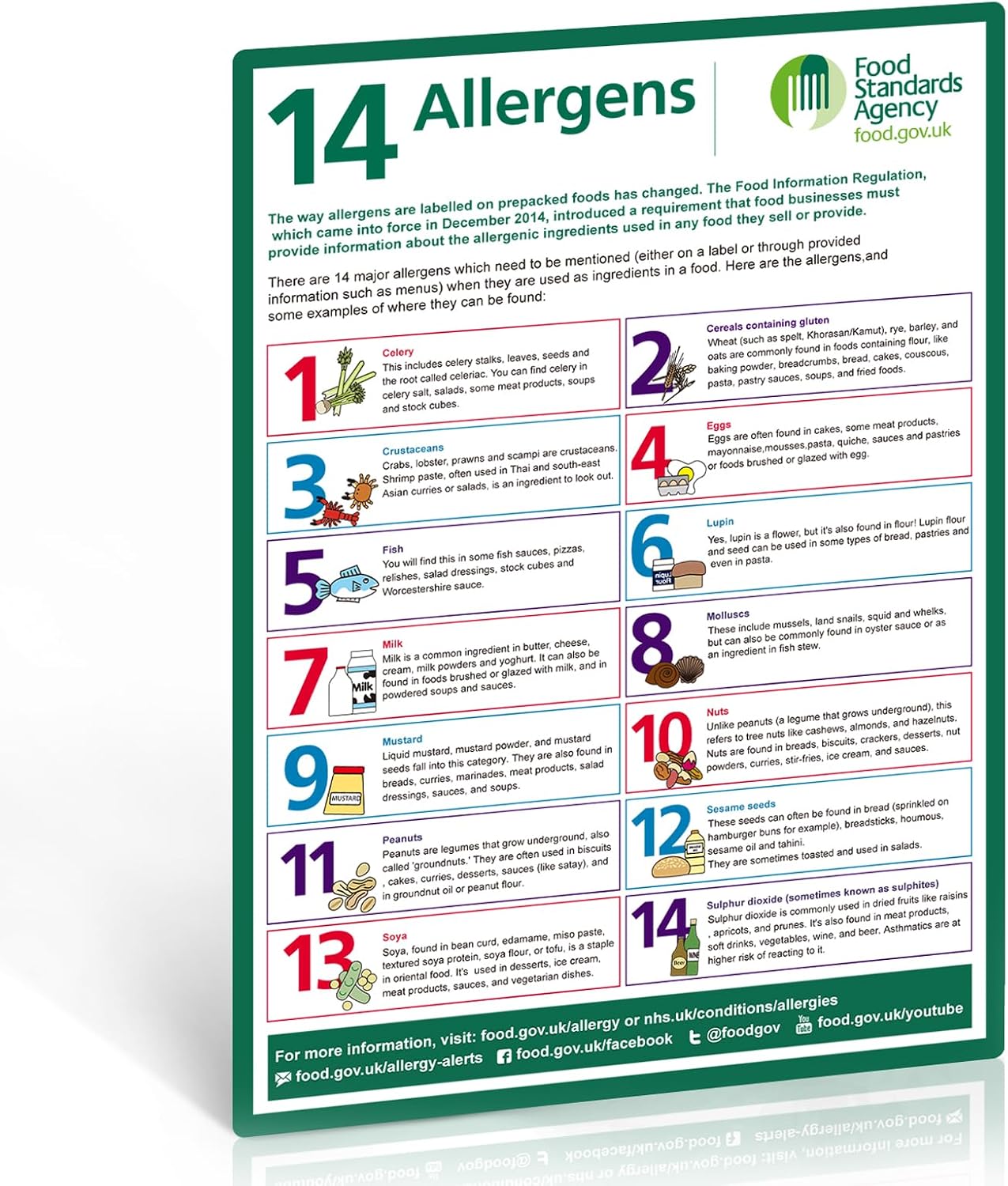 14 Food Allergens Poster 1 Pack, A4 297 x 210mm Self-Adhesive Vinyl Sign — image 1